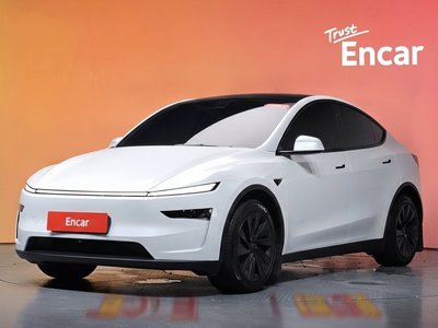 2025 Tesla MODEL Y — фото 1
