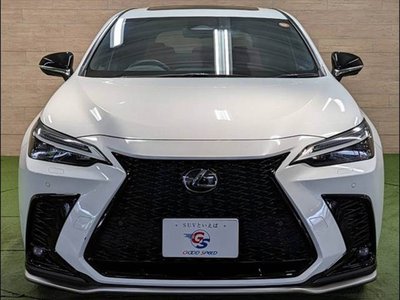 2023 Lexus NX 缩略图 17