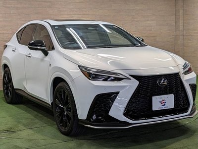 2023 Lexus NX 缩略图 25