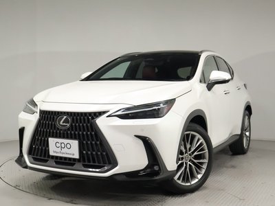 LEXUS NX - 1