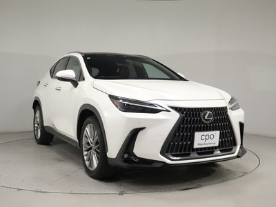 LEXUS NX - 8