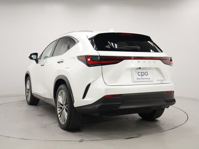 LEXUS NX - 6