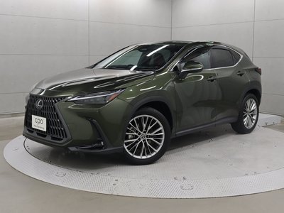 LEXUS NX - 1