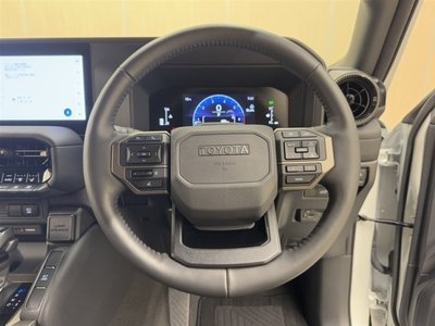 TOYOTA LAND CRUISER 250 - 9