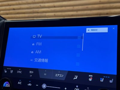 2025 TOYOTA ALPHARD 缩略图 64