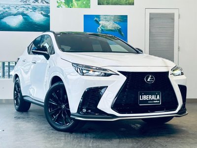 LEXUS NX - 4