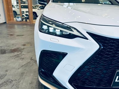 LEXUS NX - 10