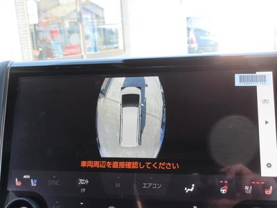 TOYOTA ALPHARD - 10