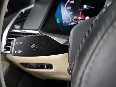 2021 BMW X6 缩略图 30