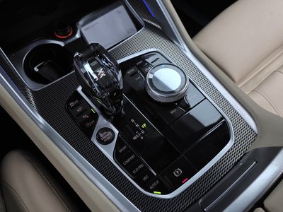 2021 BMW X6 缩略图 12