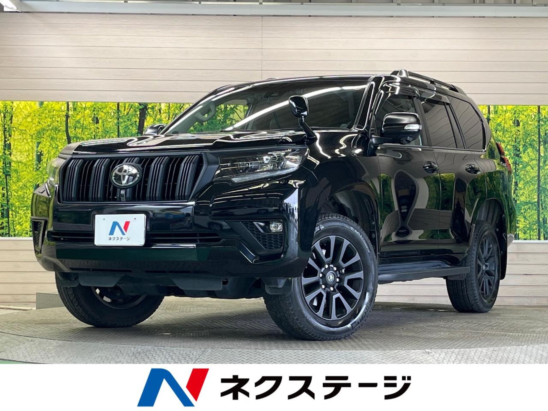 TOYOTA LAND CRUISER PRADO - View 1