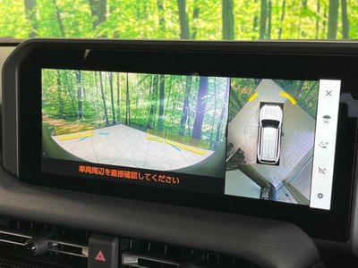 TOYOTA LAND CRUISER 250 - 6