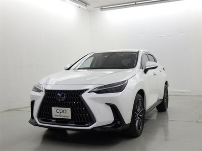 LEXUS NX - 1