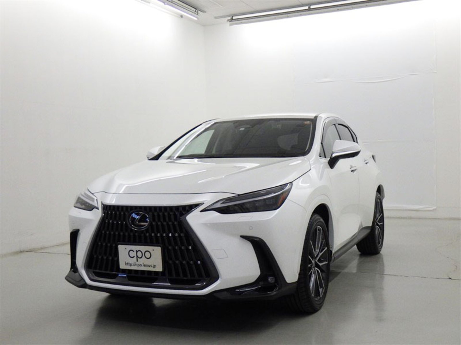 LEXUS NX - View 1