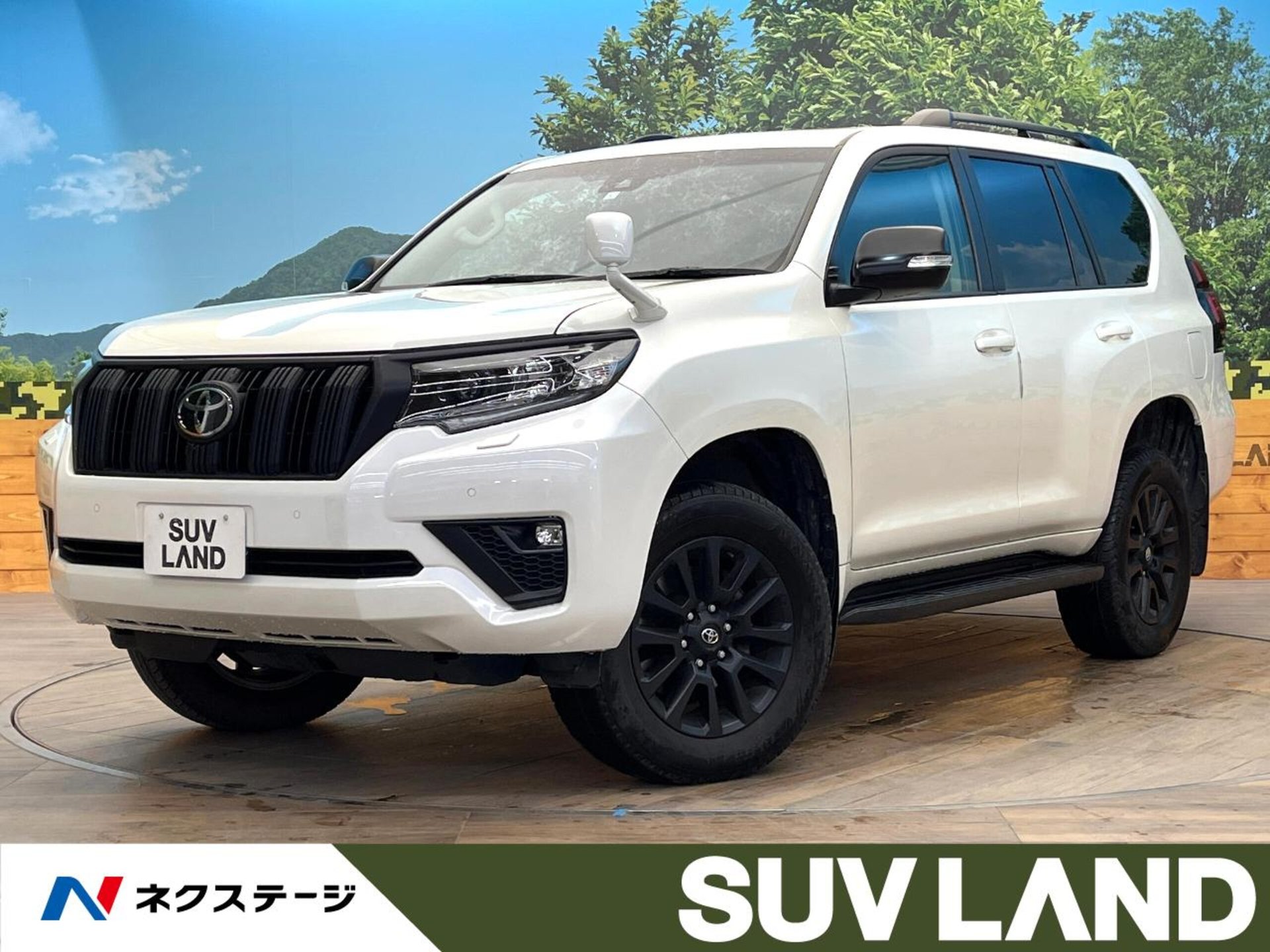 TOYOTA LAND CRUISER PRADO - View 1