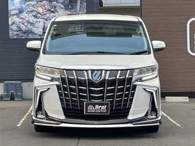 TOYOTA ALPHARD - 10