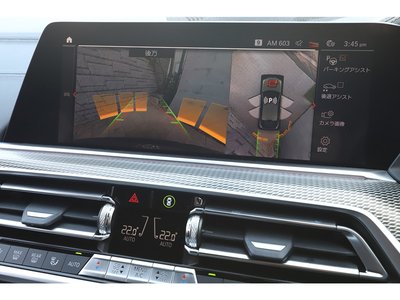 2021 BMW X6 缩略图 99