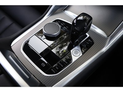 2021 BMW X6 缩略图 102