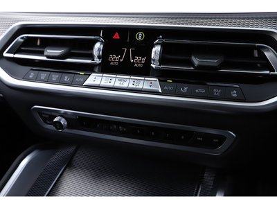2021 BMW X6 缩略图 100