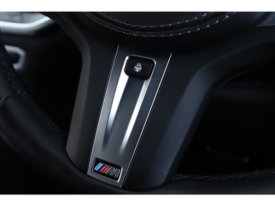 2021 BMW X6 缩略图 90