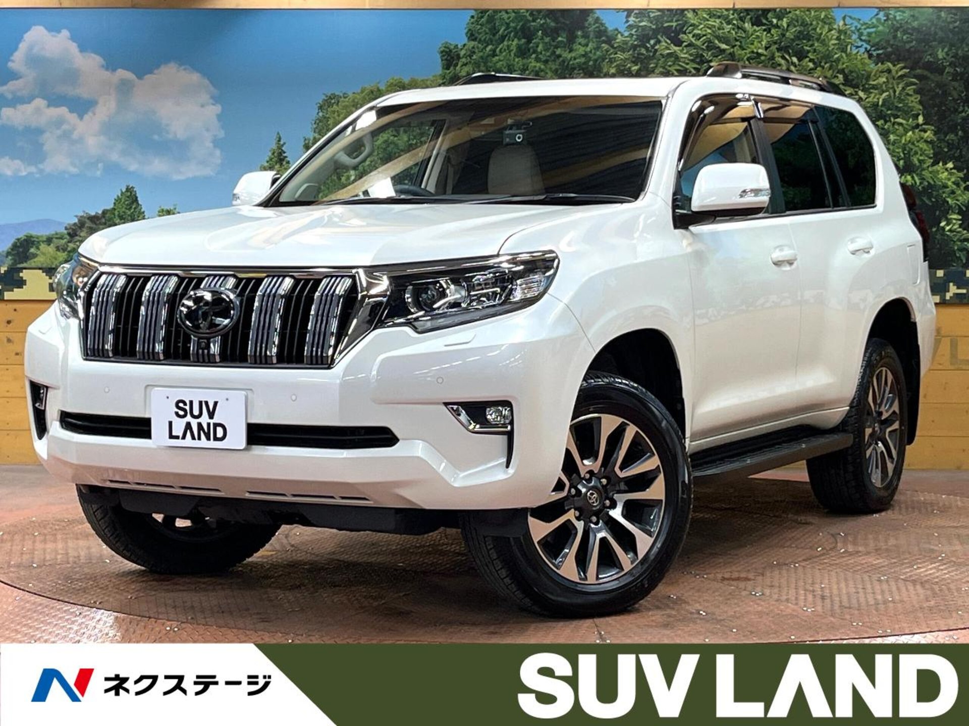 TOYOTA LAND CRUISER PRADO - View 1