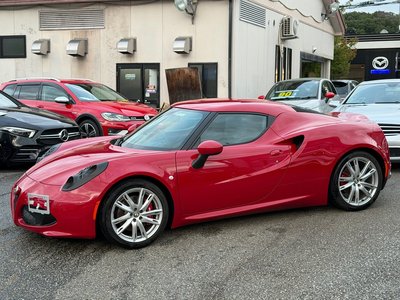 2015 ALFA Romeo 4C — фото 22