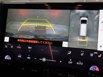 2024 TOYOTA ALPHARD 缩略图 24