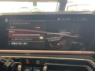 2021 BMW X6 缩略图 17