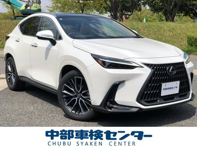 LEXUS NX - 1