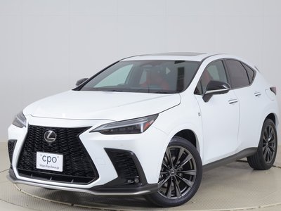 LEXUS NX - 1