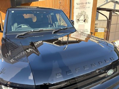 LAND ROVER DEFENDER - 6