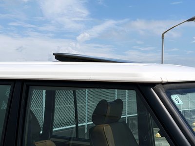 1994 LAND Rover RANGE ROVER 照片 14