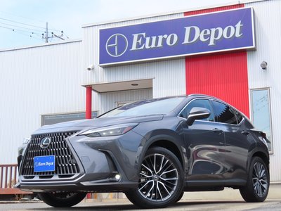 LEXUS NX - 1