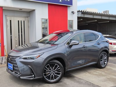 LEXUS NX - 2