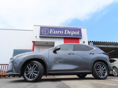 LEXUS NX - 10