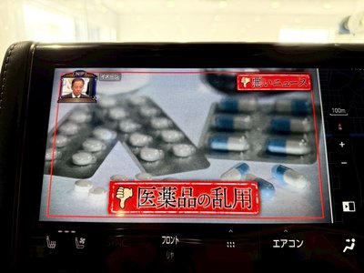 2025 TOYOTA ALPHARD thumbnail 26