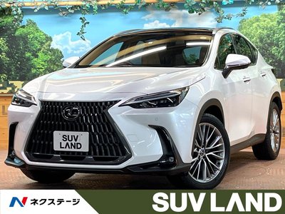 LEXUS NX - 1