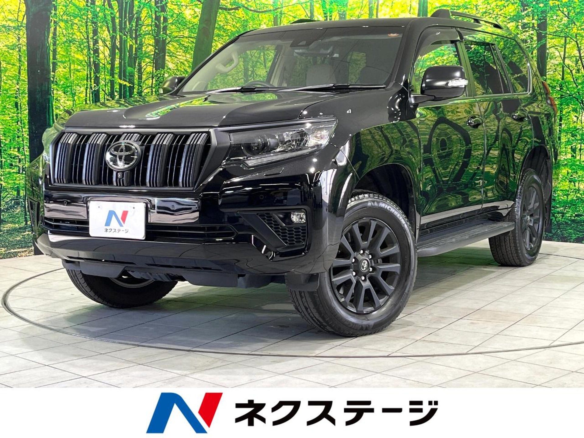 TOYOTA LAND CRUISER PRADO - View 1
