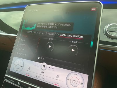 2021 Mercedes-BENZ S-CLASS 缩略图 31