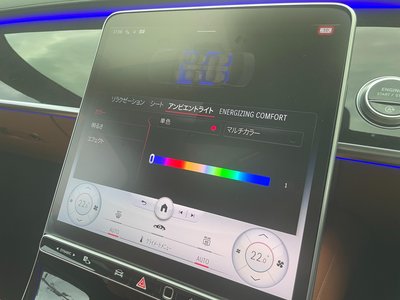 2021 Mercedes-BENZ S-CLASS 缩略图 29