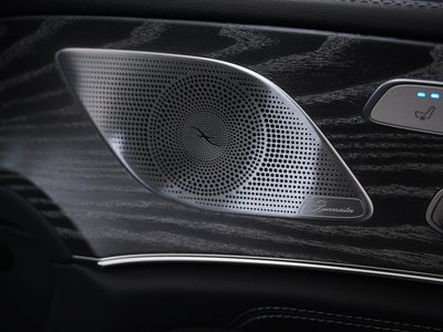 صورة مصغرة 32 لـ 2022 Mercedes-BENZ CLS