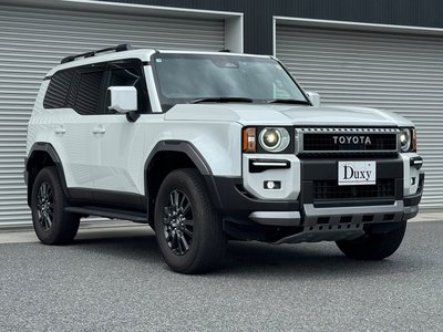 2025 Toyota LAND CRUISER 250 thumbnail 13