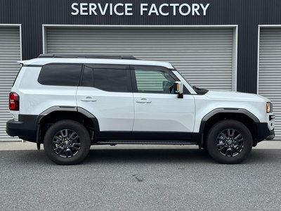 2025 Toyota LAND CRUISER 250 thumbnail 22