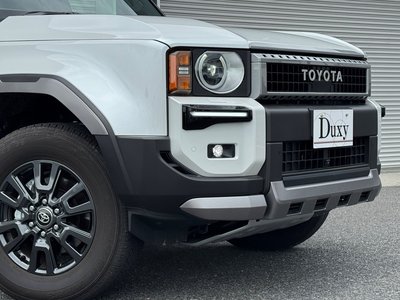 2025 Toyota LAND CRUISER 250 photo 10