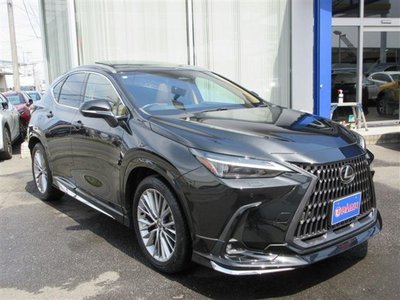 LEXUS NX - 3