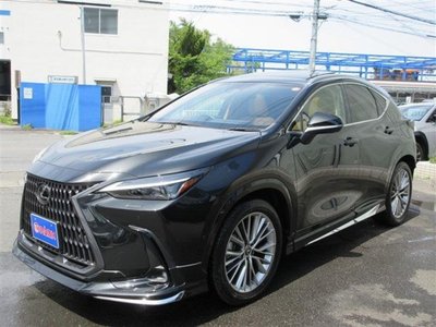 LEXUS NX - 1
