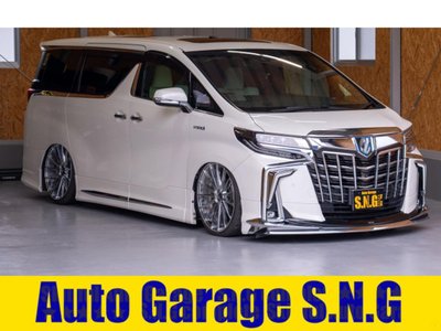 TOYOTA ALPHARD - 1