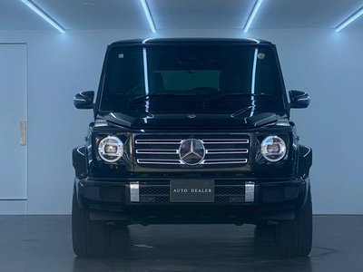 MERCEDES-BENZ G-CLASS - 10