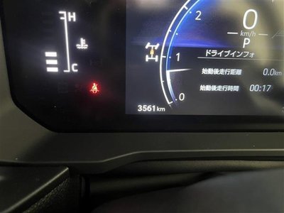 TOYOTA LAND CRUISER 250 - 10