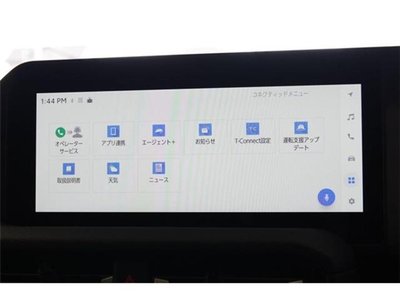 TOYOTA LAND CRUISER 250 - 6